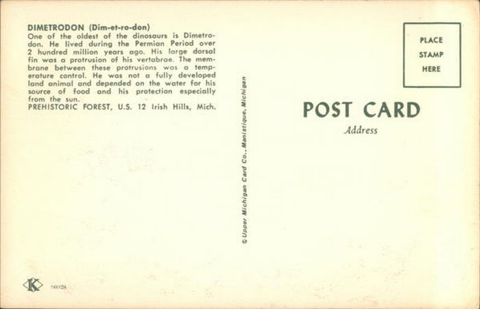 Prehistoric Forest - Dimetrodon (newer photo)